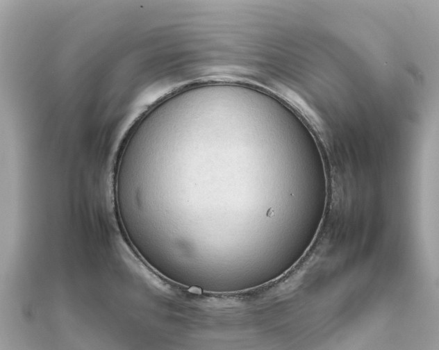 X0000111861384200907301122