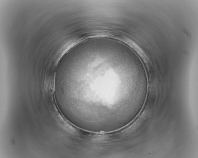 X0000111861385200907301122