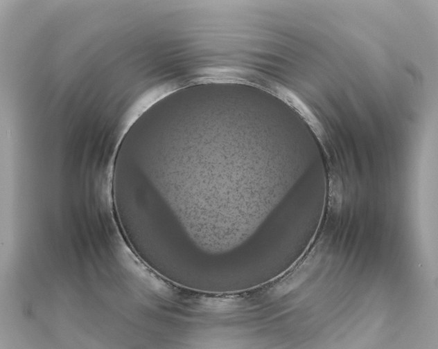 X0000111861386200907301122