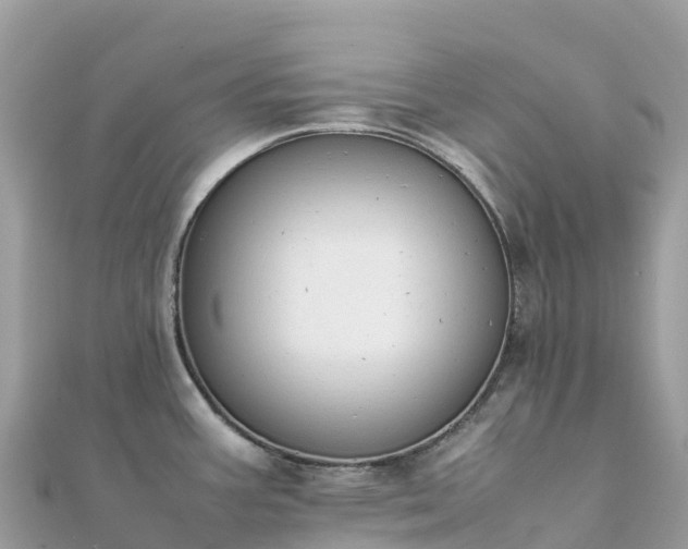 X0000111861387200907301122