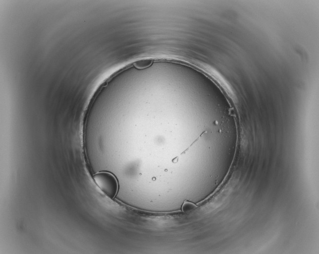 X0000111861388200907301122