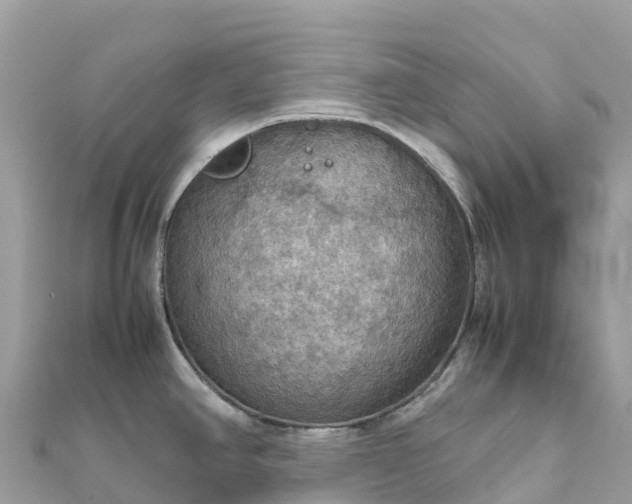 X0000111861390200907301122