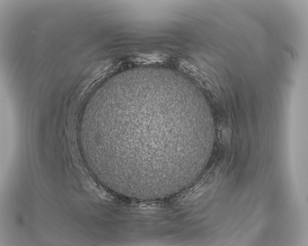 X0000111861393200907301122