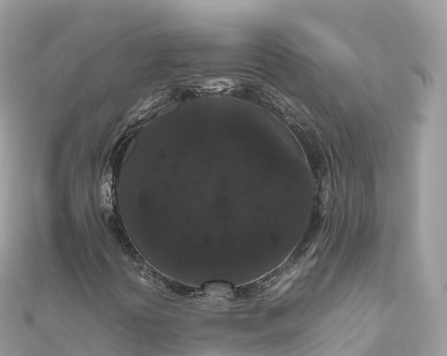 X0000111861394200907301122