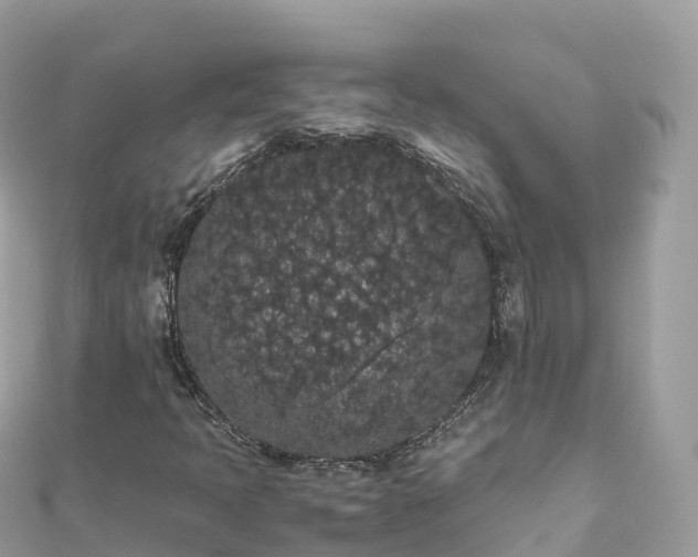 X0000111861397200907301122