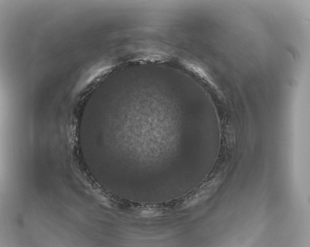 X0000111861399200907301122