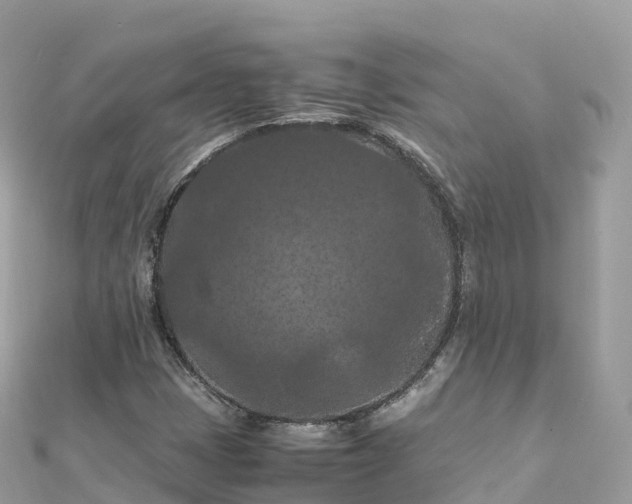 X0000111861401200907301122