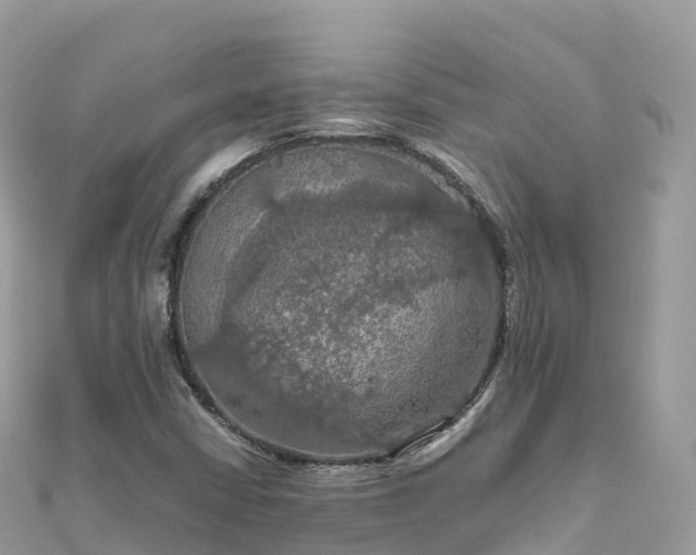 X0000111861402200907301122