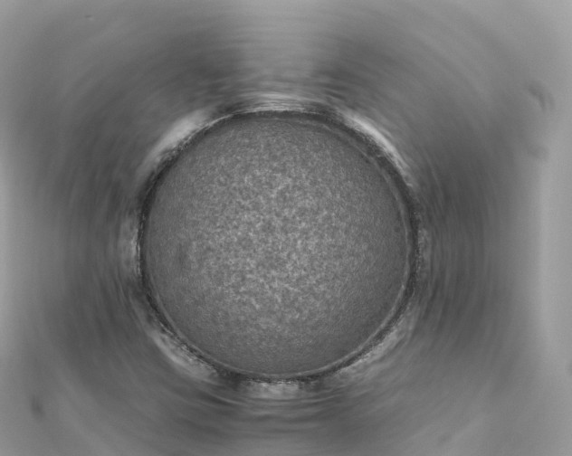 X0000111861403200907301122