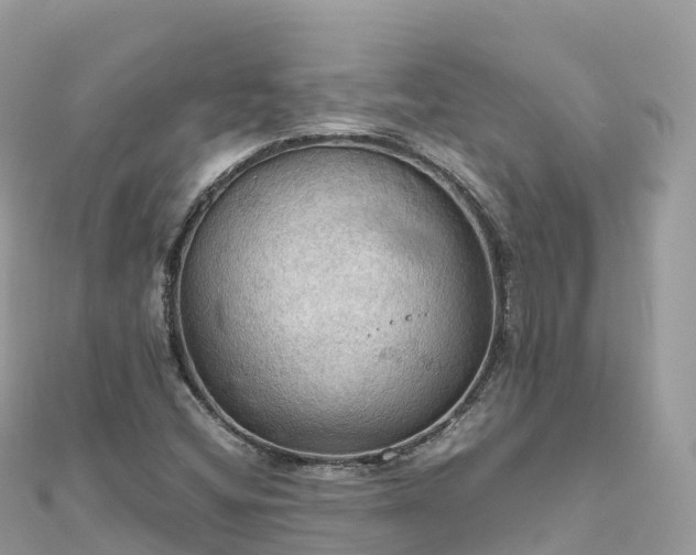 X0000111861404200907301122