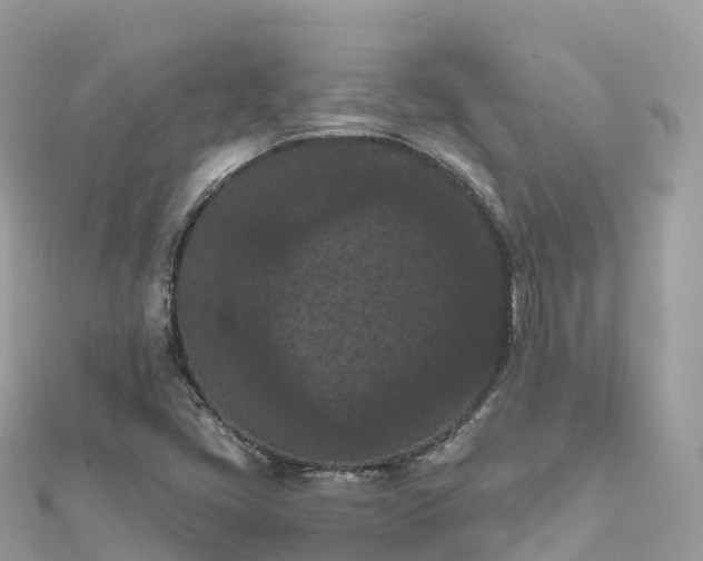 X0000111861405200907301122