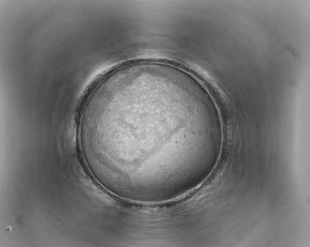 X0000111861408200907301122