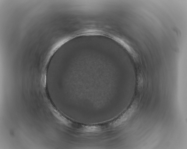 X0000111861413200907301122