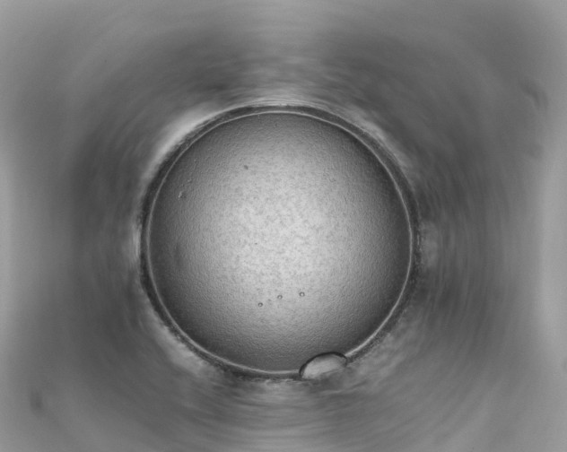 X0000111861416200907301122