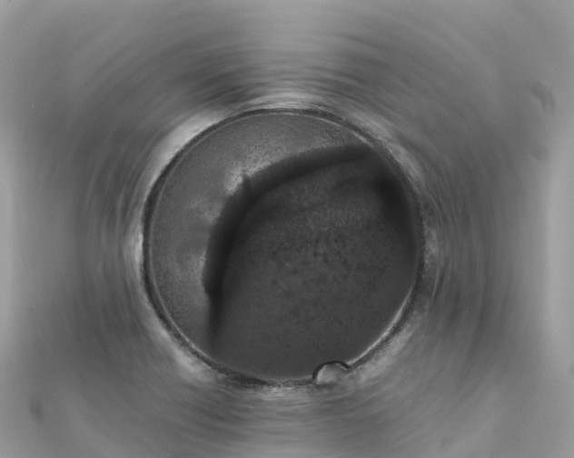 X0000111861418200907301122