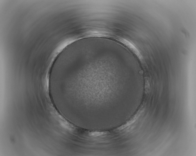 X0000111861419200907301122