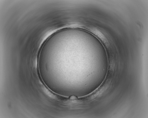 X0000111861420200907301122