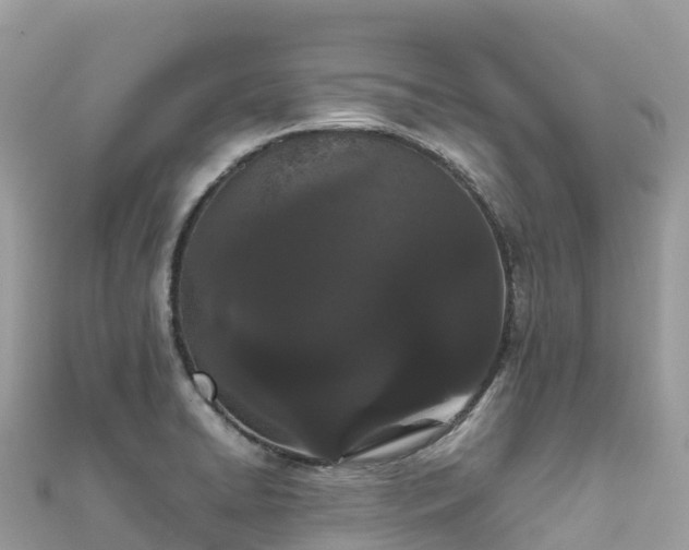 X0000111861422200907301122