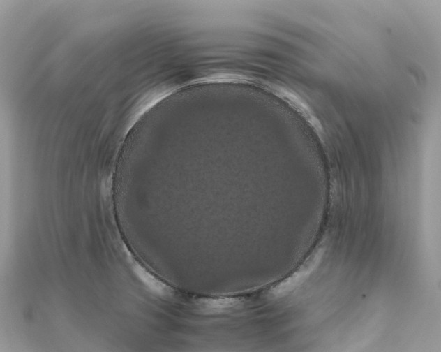 X0000111861425200907301122