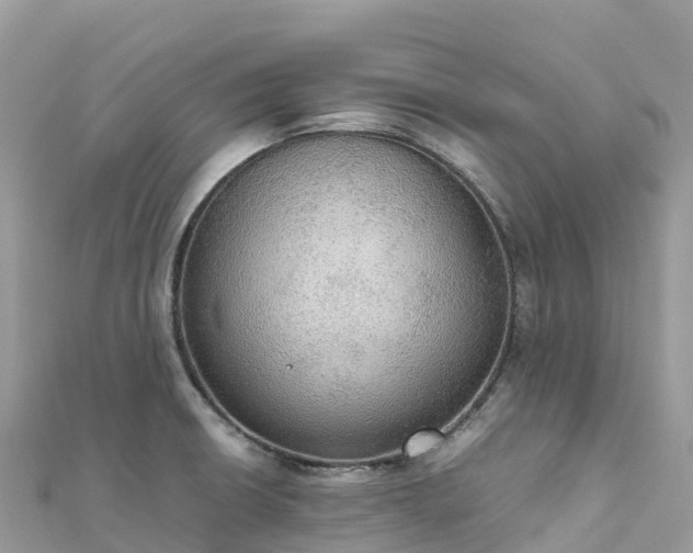 X0000111861426200907301122