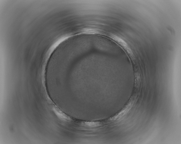 X0000111861427200907301122