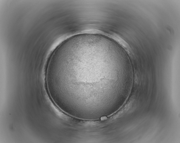 X0000111861430200907301122