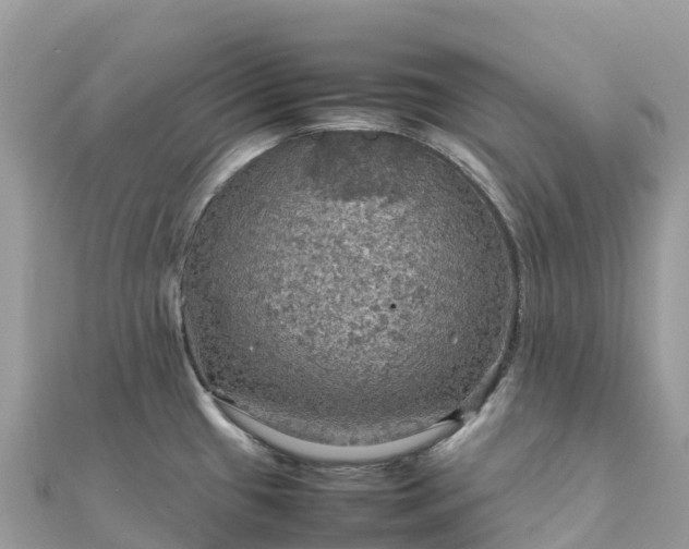 X0000111861433200907301122