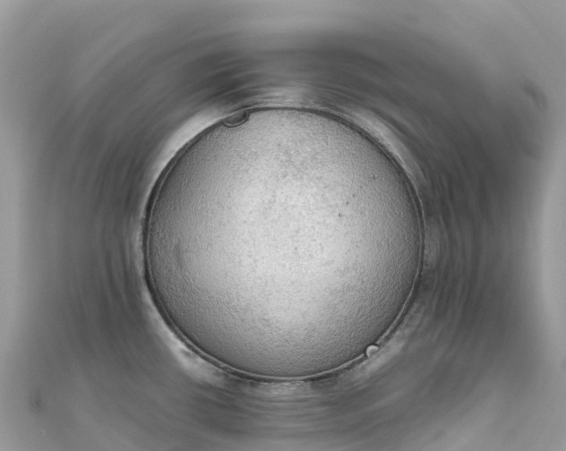 X0000111861434200907301122