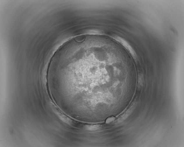 X0000111861435200907301122