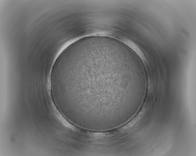 X0000111861436200907301122