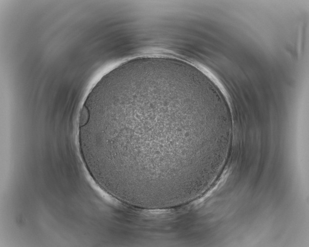 X0000111861437200907301122