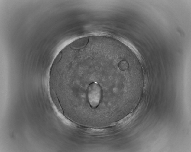 X0000111861439200907301122