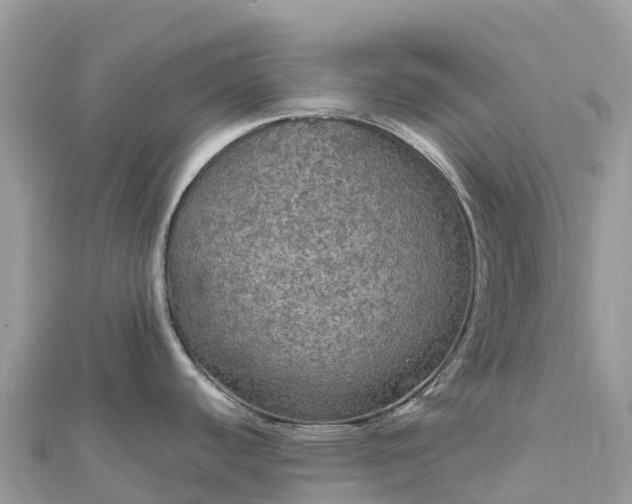 X0000111861440200907301122