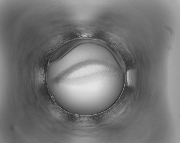 X0000111861443200907301122