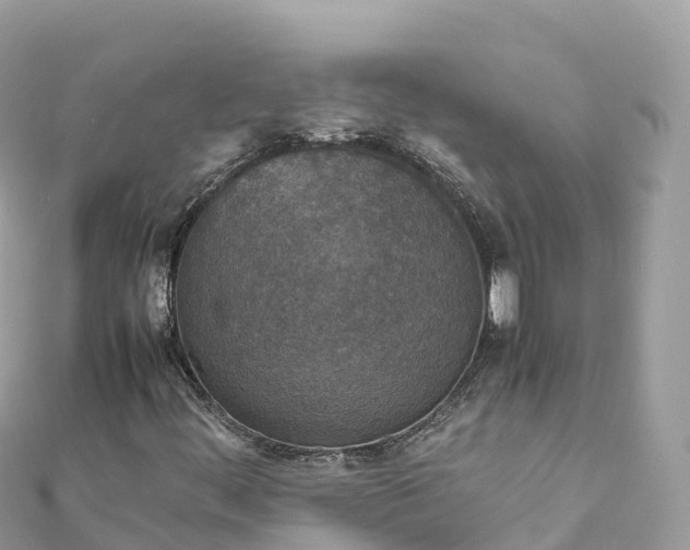 X0000111861444200907301122