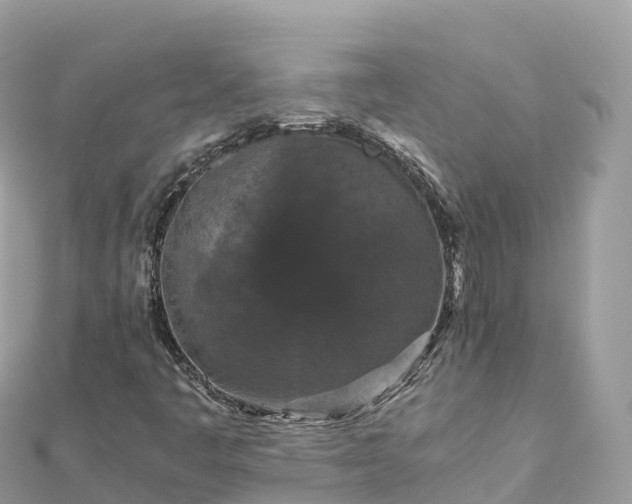 X0000111861445200907301122