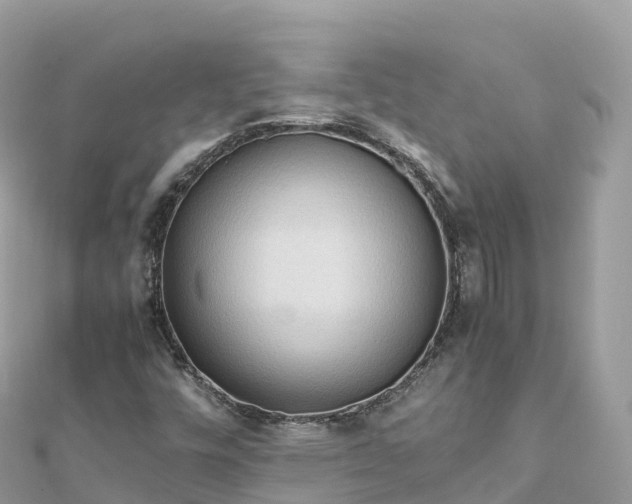 X0000111861448200907301121