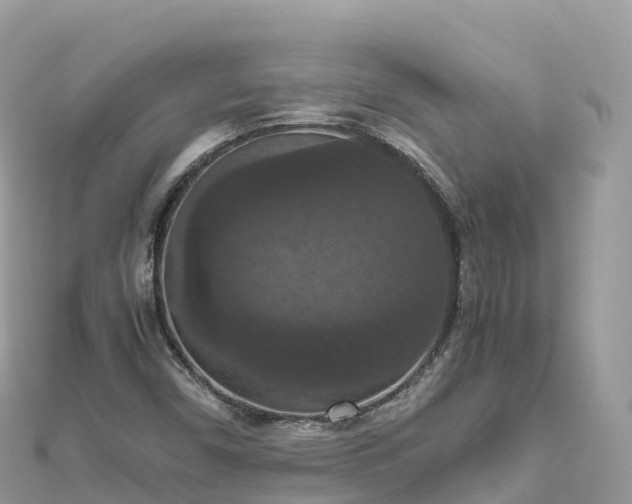 X0000111861450200907301121