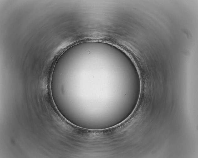 X0000111861451200907301121