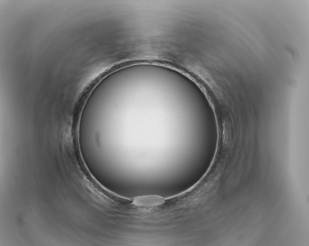X0000111861452200907301121