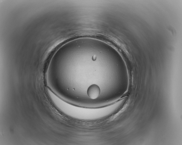 X0000111861453200907301121