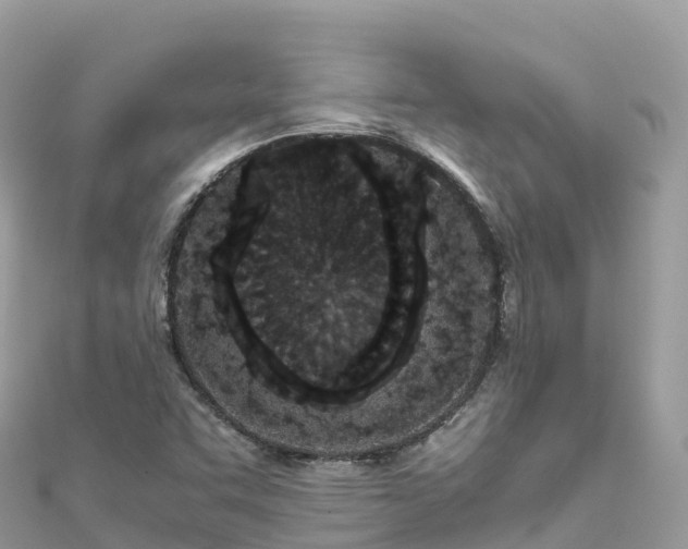 X0000111861455200907301121