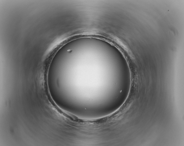 X0000111861456200907301121