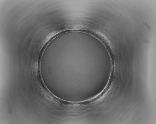 X0000111861457200907301121