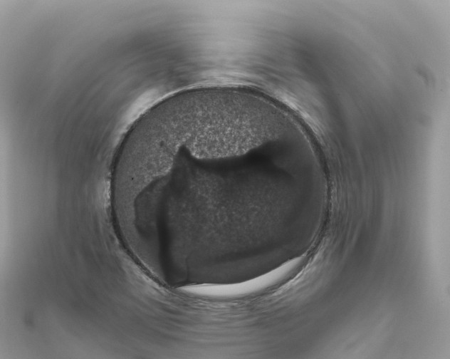 X0000111861459200907301121
