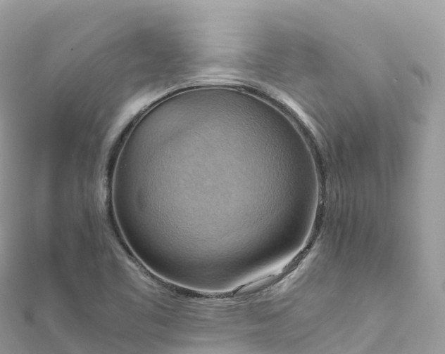 X0000111861461200907301121