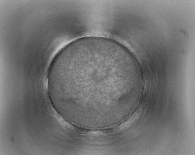 X0000111861462200907301121