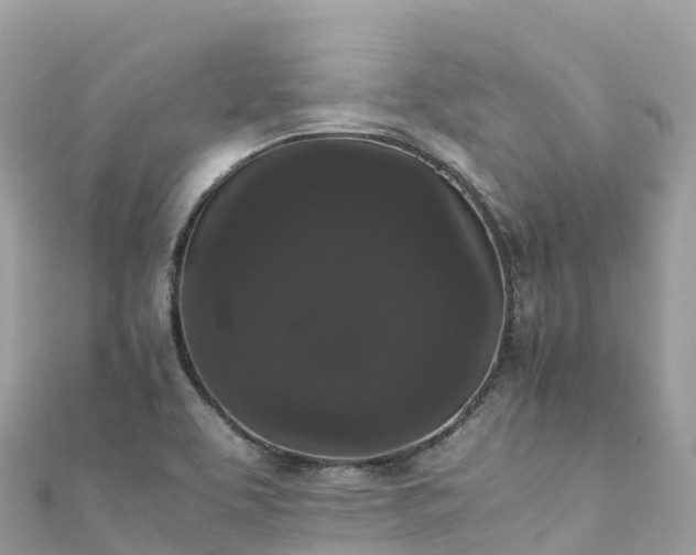 X0000111861463200907301121