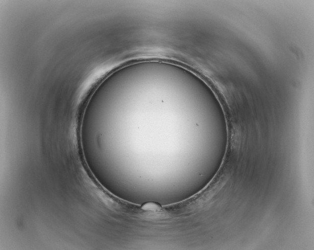 X0000111861464200907301121