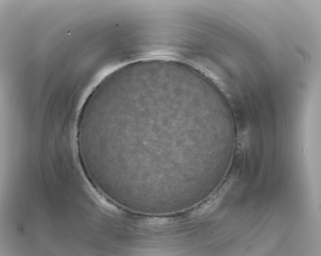 X0000111861470200907301121